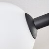 Gastor Plafones, Luminarias esféricas Blanca, 6 luces