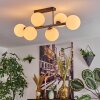 Gastor Plafones, Luminarias esféricas Blanca, 6 luces