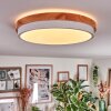 Hiral Plafones, Panel LED Crudo, Blanca, 1 luz