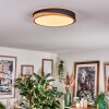 Hiral Plafones, Panel LED Crudo, Negro, 1 luz