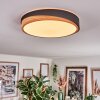 Hiral Plafones, Panel LED Crudo, Negro, 1 luz