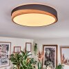Hiral Plafones, Panel LED Crudo, Negro, 1 luz
