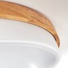 Hiral Plafones, Panel LED Crudo, Blanca, 1 luz, Mando a distancia