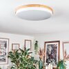 Hiral Plafones, Panel LED Crudo, Blanca, 1 luz, Mando a distancia