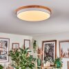 Hiral Plafones, Panel LED Crudo, Blanca, 1 luz, Mando a distancia