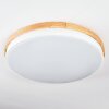 Hiral Plafones, Panel LED Crudo, Blanca, 1 luz, Mando a distancia