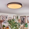 Hiral Plafones, Panel LED Crudo, Negro, 1 luz, Mando a distancia