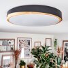 Hiral Plafones, Panel LED Crudo, Negro, 1 luz, Mando a distancia