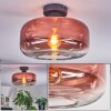 Boza Plafones Transparente, Color cobre, 1 luz