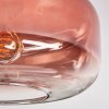 Boza Plafones Transparente, Color cobre, 1 luz