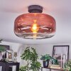 Boza Plafones Transparente, Color cobre, 1 luz