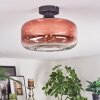 Boza Plafones Transparente, Color cobre, 1 luz