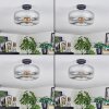 Boza Plafones Transparente, Ahumado, 1 luz