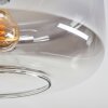 Boza Plafones Transparente, Ahumado, 1 luz