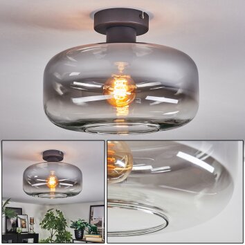 Boza Plafones Transparente, Ahumado, 1 luz