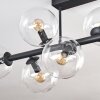 Gastor Plafones, Luminarias esféricas Transparente, 8 luces