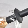 Gastor Plafones, Luminarias esféricas Transparente, 8 luces
