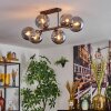 Gastor Plafones, Luminarias esféricas Ahumado, 6 luces