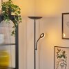 Dillingby Lámpara de pie LED Negro, 2 luces