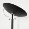 Dillingby Lámpara de pie LED Negro, 2 luces