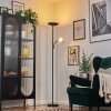 Dillingby Lámpara de pie LED Negro, 2 luces