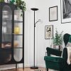 Dillingby Lámpara de pie LED Negro, 2 luces