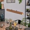 Fugelsta Lámparas suspendidas, Lámparas colgantes LED Negro, 1 luz