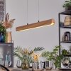 Fugelsta Lámparas suspendidas, Lámparas colgantes LED Negro, 1 luz