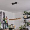 Fugelsta Lámparas suspendidas, Lámparas colgantes LED Negro, 1 luz