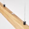 Fugelsta Lámparas suspendidas, Lámparas colgantes LED Negro, 1 luz