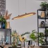 Fugelsta Lámparas suspendidas, Lámparas colgantes LED Negro, 1 luz