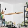 Fugelsta Lámparas suspendidas, Lámparas colgantes LED Negro, 1 luz
