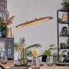 Fugelsta Lámparas suspendidas, Lámparas colgantes LED Negro, 1 luz