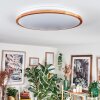 Nogueira Plafones, Panel LED Crudo, Blanca, 1 luz, Mando a distancia