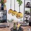 Koyoto Lámparas suspendidas, Luminarias esféricas, Lámparas colgantes dorado, Transparente, 3 luces