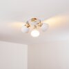 Banjul Lámpara de Techo Madera clara, Blanca, 3 luces