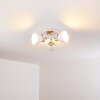 Banjul Lámpara de Techo Madera clara, Blanca, 3 luces