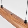 Fugelsta Lámparas suspendidas, Lámparas colgantes LED Negro, 1 luz