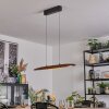 Fugelsta Lámparas suspendidas, Lámparas colgantes LED Negro, 1 luz