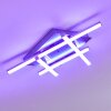 Eriz Lámpara de Techo LED Níquel-mate, 4 luces, Mando a distancia, Cambia de color