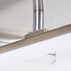 Eriz Lámpara de Techo LED Níquel-mate, 4 luces, Mando a distancia, Cambia de color