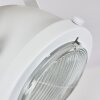 Herford Lámpara de Techo Crudo, Blanca, 1 luz
