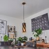 Maschwanden Lámpara Colgante dorado, 1 luz
