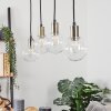 Quento Lámpara Colgante Negro-dorado, 4 luces