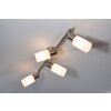 Reality Foco de techo Acero inoxidable, Blanca, 4 luces