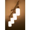 Reality Foco de techo Acero inoxidable, Blanca, 4 luces