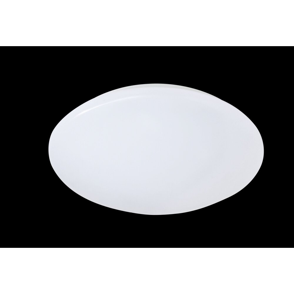 Reality Putz Lámpara de Techo LED Blanca, 1 luz main product photo
