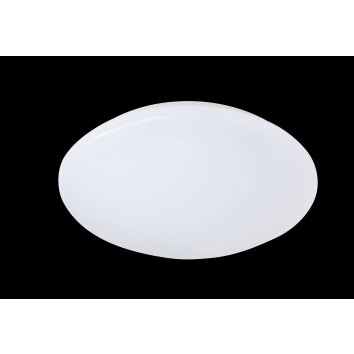 Reality Putz Lámpara de Techo LED Blanca, 1 luz