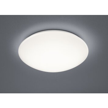 Reality Putz Lámpara de Techo LED Blanca, 1 luz