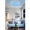 Reality WIZ FARA Lámpara de Techo LED con efecto de brillo, Blanca, 1 luz, Cambia de color